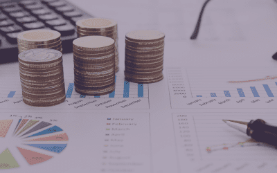 Increased Scrutiny on Company Directors Over Covid Loan Usage