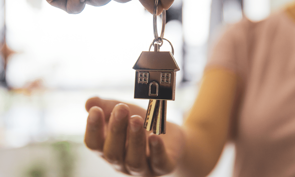 Small Landscape - feature blocks